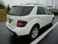Arctic White - ML 350 4Matic Photo No. 7