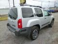 Brilliant Silver - Xterra PRO-4X 4x4 Photo No. 7