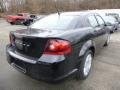Black Clear Coat - Avenger SE Photo No. 5