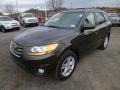 2011 Espresso Brown Hyundai Santa Fe SE AWD  photo #3