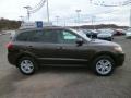 2011 Espresso Brown Hyundai Santa Fe SE AWD  photo #8