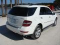 2009 Arctic White Mercedes-Benz ML 320 BlueTec 4Matic  photo #7