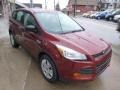 2014 Sunset Ford Escape S  photo #3
