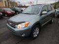 2007 Everglade Metallic Toyota RAV4 Limited 4WD  photo #3