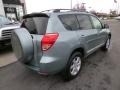 2007 Everglade Metallic Toyota RAV4 Limited 4WD  photo #6