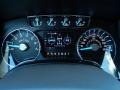 Pale Adobe Gauges Photo for 2014 Ford F150 #89146989