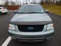 Black - Freestyle SEL AWD Photo No. 2
