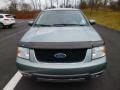 2005 Black Ford Freestyle SEL AWD  photo #2