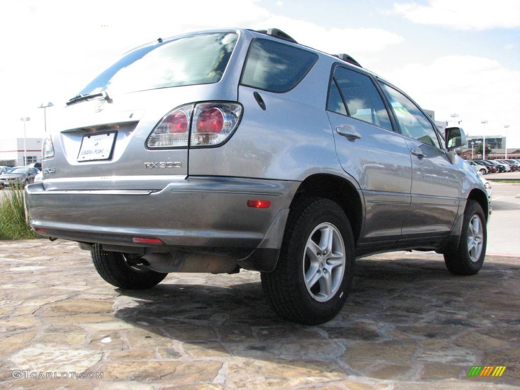 2001 RX 300 - Blue Vapor Metallic / Ivory photo #7