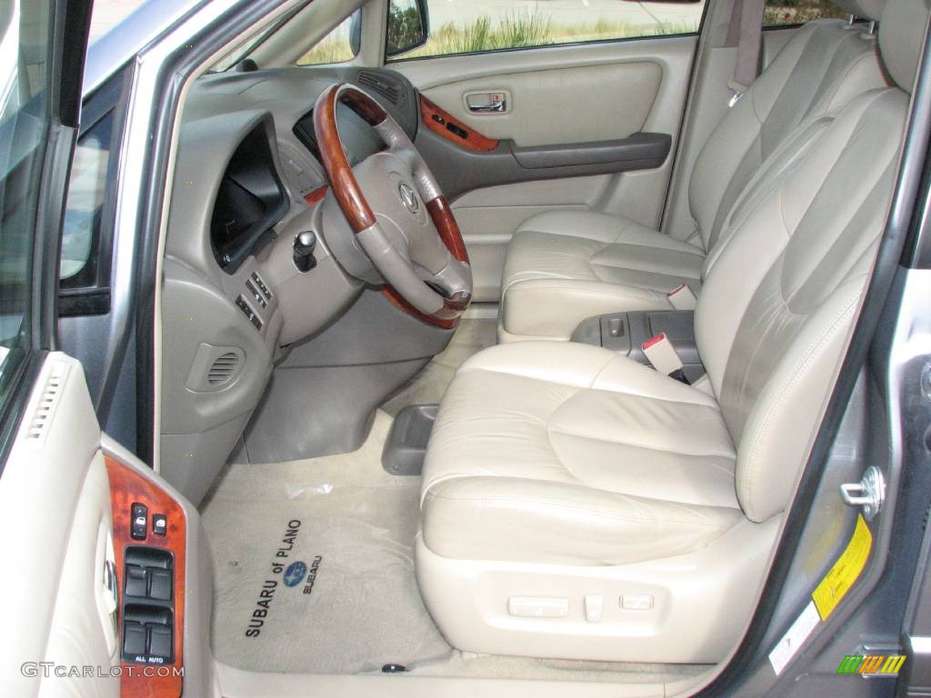 2001 RX 300 - Blue Vapor Metallic / Ivory photo #9