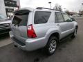 2007 Titanium Metallic Toyota 4Runner Limited 4x4  photo #6