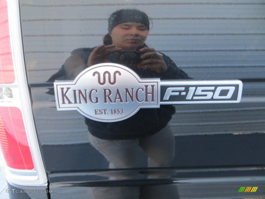 2014 F150 King Ranch SuperCrew - Tuxedo Black / King Ranch Chaparral/Black photo #19