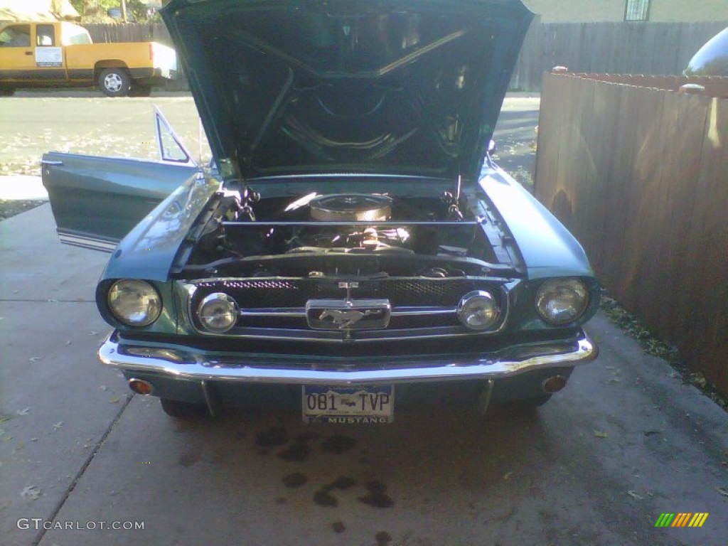 1965 Mustang Fastback - Twilight Turquoise / White photo #4