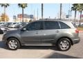 Nimbus Gray Metallic - MDX Technology Photo No. 5