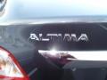 2013 Metallic Slate Nissan Altima 3.5 SL  photo #8