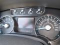 2014 Ford F150 King Ranch Chaparral/Black Interior Gauges Photo