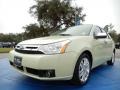 2010 Natural Neutral Metallic Ford Focus SEL Sedan  photo #1