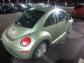 Gecko Green 2008 Volkswagen New Beetle S Coupe Exterior