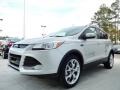 2014 Ingot Silver Ford Escape Titanium 2.0L EcoBoost  photo #1