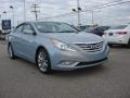 Iridescent Silver Blue Metallic - Sonata SE Photo No. 9