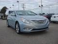 Iridescent Silver Blue Metallic - Sonata SE Photo No. 10