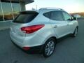 Diamond Silver - Tucson Limited AWD Photo No. 7