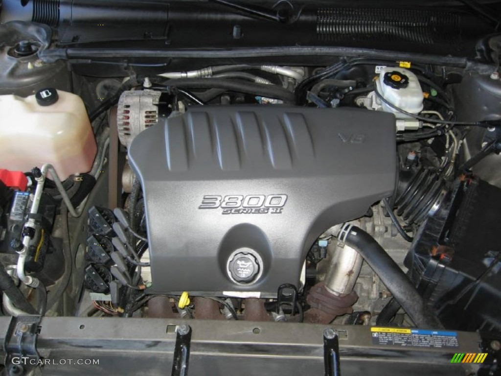 2003 LeSabre Custom - Dark Bronzemist Metallic / Taupe photo #21