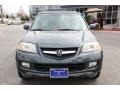 2004 Sagebrush Pearl Acura MDX Touring  photo #3