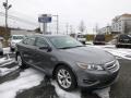 Sterling Grey - Taurus SEL Photo No. 1