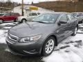 Sterling Grey - Taurus SEL Photo No. 5
