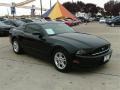 Black - Mustang V6 Coupe Photo No. 8