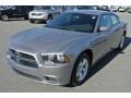Billet Silver Metallic - Charger SE Photo No. 1