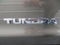2008 Pyrite Mica Toyota Tundra SR5 Double Cab 4x4  photo #18