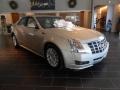 Silver Coast Metallic - CTS 4 3.0 AWD Sedan Photo No. 3