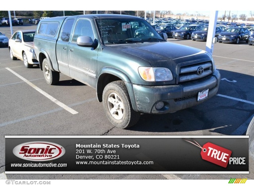 2005 Tundra SR5 TRD Access Cab 4x4 - Timberland Green Mica / Taupe photo #1