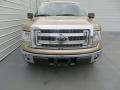 Pale Adobe 2014 Ford F150 XLT SuperCrew Exterior