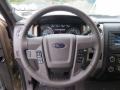 Pale Adobe Steering Wheel Photo for 2014 Ford F150 #89236983