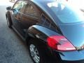 Black - Beetle 2.5L Photo No. 19