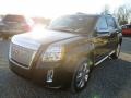 Iridium Metallic - Terrain Denali AWD Photo No. 3
