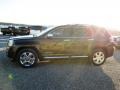 Iridium Metallic - Terrain Denali AWD Photo No. 4
