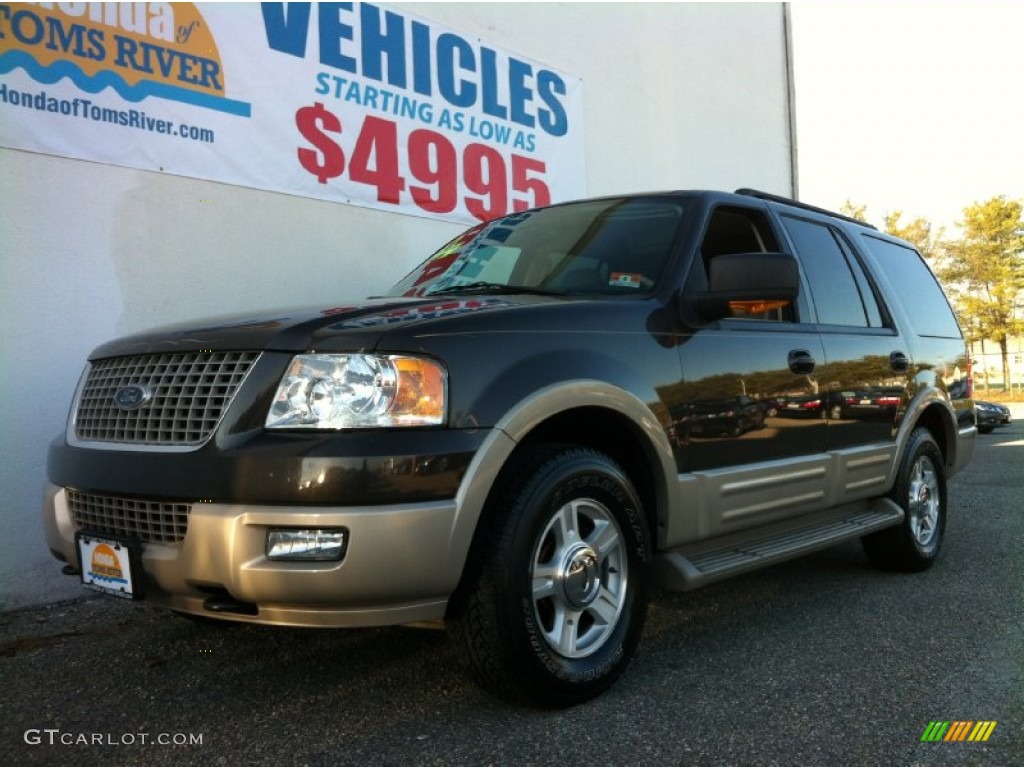 2006 Expedition Eddie Bauer 4x4 - Dark Stone Metallic / Medium Parchment photo #1
