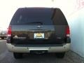 2006 Dark Stone Metallic Ford Expedition Eddie Bauer 4x4  photo #6