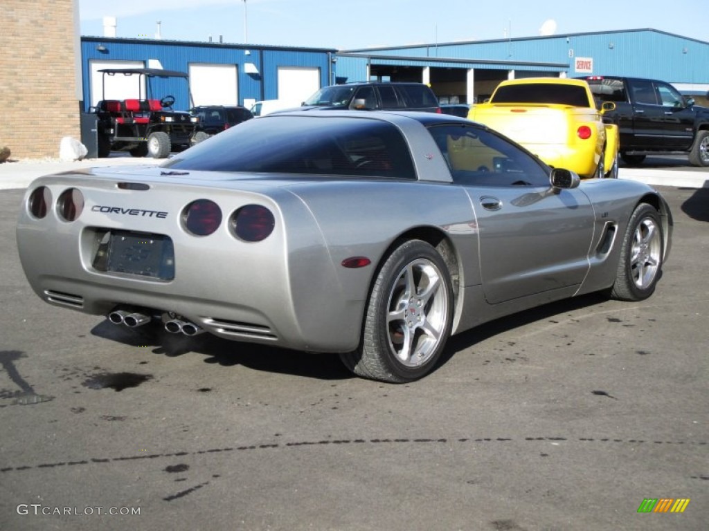 Light Pewter Metallic 2002 Chevrolet Corvette Coupe Exterior Photo #89248180