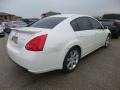 Winter Frost Pearl - Maxima 3.5 SE Photo No. 3