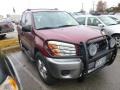 Salsa Red Pearl - RAV4  Photo No. 3