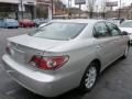 Millennium Silver Metallic - ES 300 Photo No. 15
