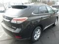 2014 Obsidian Black Lexus RX 350 AWD  photo #4