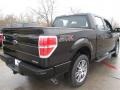 Tuxedo Black - F150 STX SuperCrew Photo No. 5