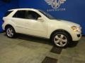 Arctic White - ML 350 4Matic Photo No. 12