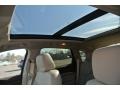 Platinum Ice Tricoat - SRX Luxury Photo No. 10